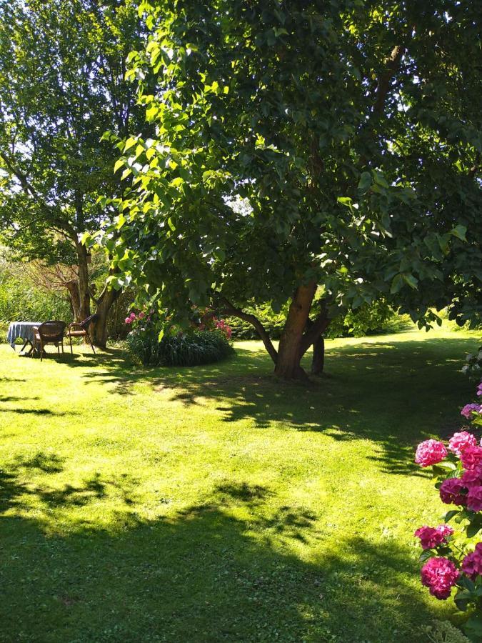 Ouddorp Vakantiehuisje מראה חיצוני תמונה