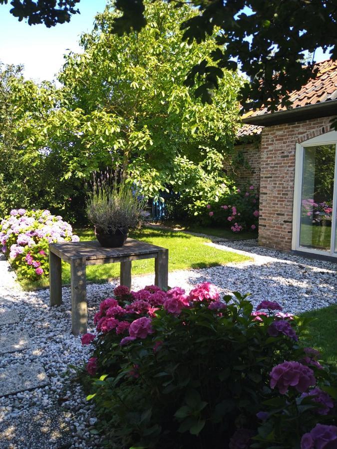 Ouddorp Vakantiehuisje מראה חיצוני תמונה